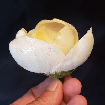 Handmade Shell Flowers (LR-KD)
