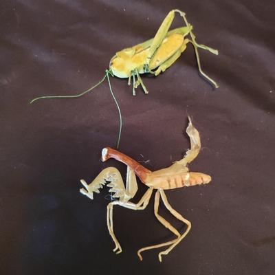 Handcrafted Whimsical Animals (LR-KD)