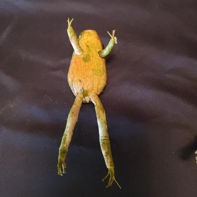 Handcrafted Whimsical Animals (LR-KD)