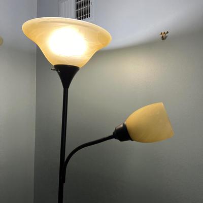 2 Floor Lamps