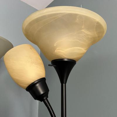 2 Floor Lamps