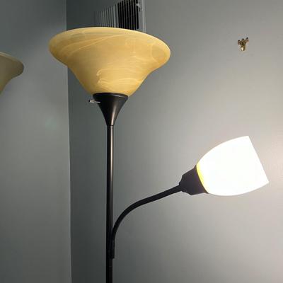 2 Floor Lamps