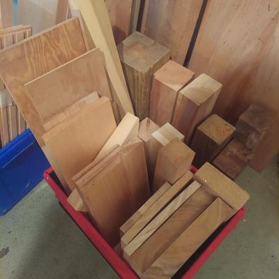 Miscellaneous Wood Scraps; Large (G-BBL)