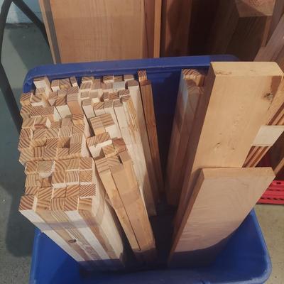 Miscellaneous Wood Scraps; Large (G-BBL)
