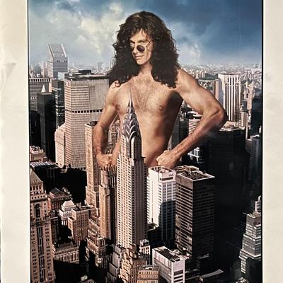 Private Parts original movie poster artwork