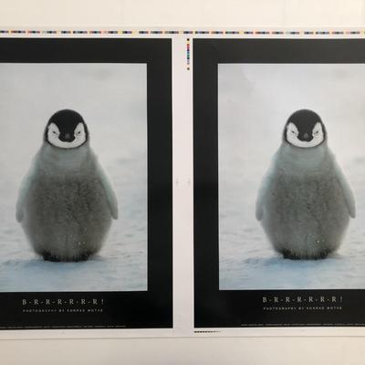 B-R-R-R-R-R-R! Konrad Wothe Double Penguin Print Poster