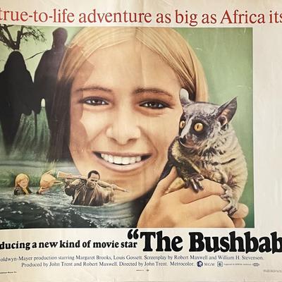 The Bushbaby 1969 vintage movie poster