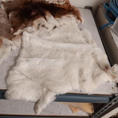 3 RABBIT PELTS