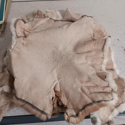 3 RABBIT PELTS