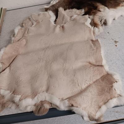 3 RABBIT PELTS