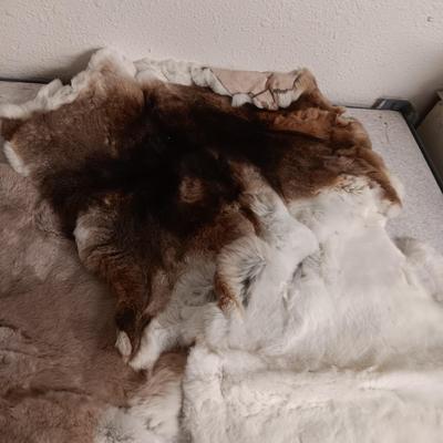 3 RABBIT PELTS