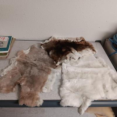 3 RABBIT PELTS