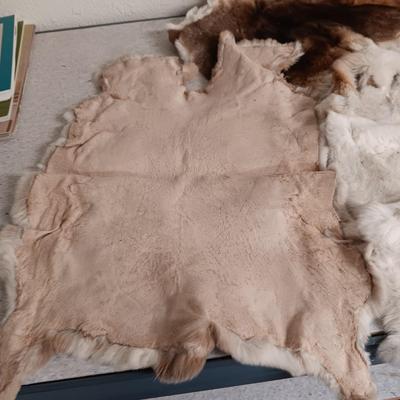 3 RABBIT PELTS
