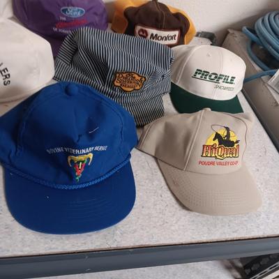 A VARIETY OF BASEBALL CAPS