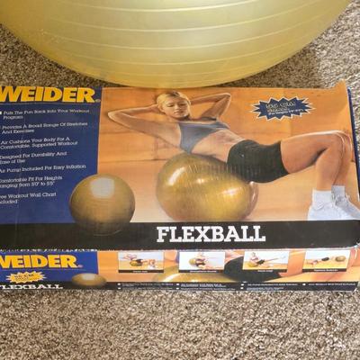 Weider Flex ball with Pump