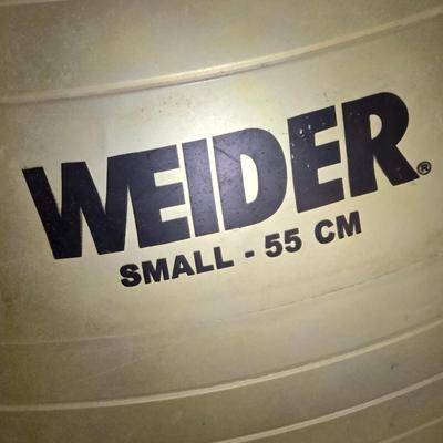 Weider Flex ball with Pump