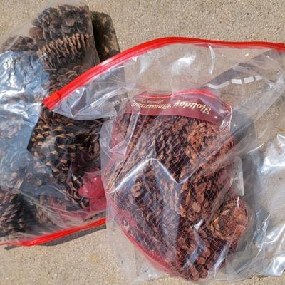 Cinnamon Pinecones