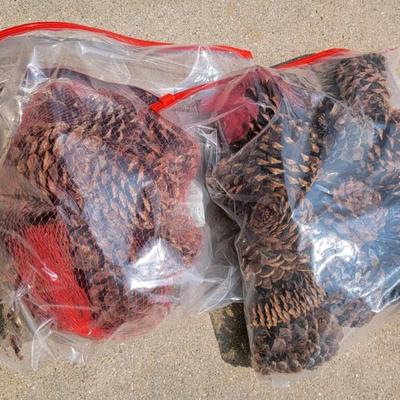 Cinnamon Pinecones