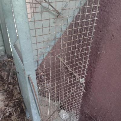 Large Animal Live Trap