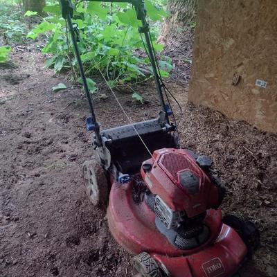 Toro 20" Self-Propelled Briggs & Stratton Motor Lawn Mower