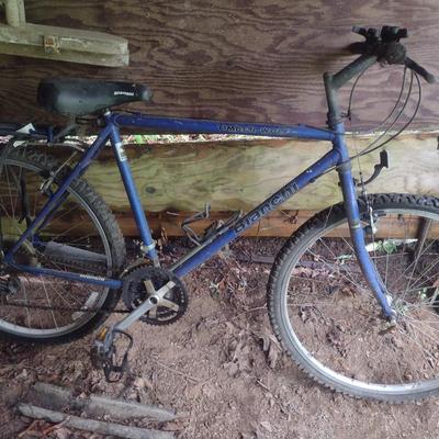 Bianchi Timber Wolf Mountain Bike