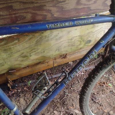 Bianchi Timber Wolf Mountain Bike