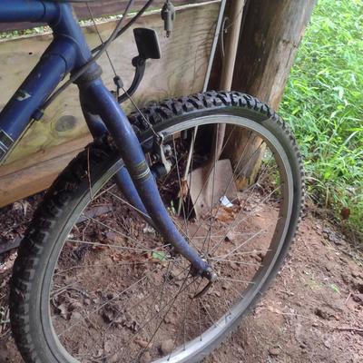 Bianchi Timber Wolf Mountain Bike