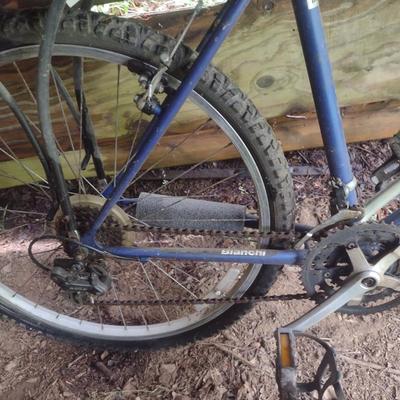 Bianchi Timber Wolf Mountain Bike