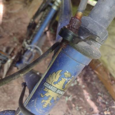 Bianchi Timber Wolf Mountain Bike