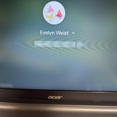Acer Chromebook 15