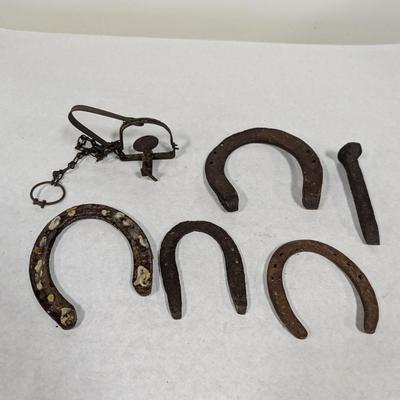 Vintage Horseshoes & Wall Decor