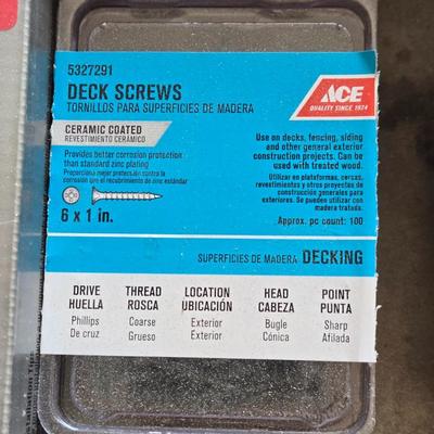 Mixed Nails and Screws Lot