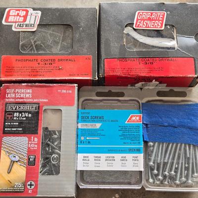 Mixed Nails and Screws Lot