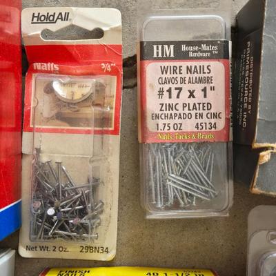 Nails and Screws Lot
