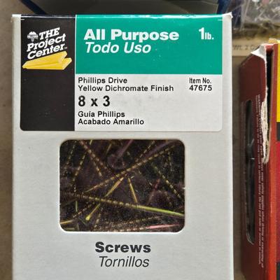 Nails and Screws Lot