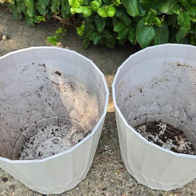 (2) Matching Plastic Planters