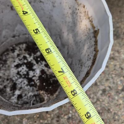 (2) Matching Plastic Planters