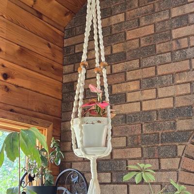 Hanging Plant With Macrame Hanger