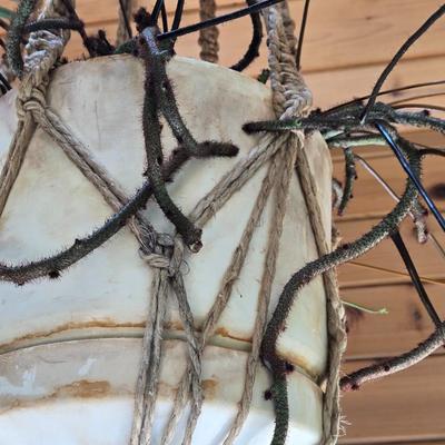 Hanging Plant With Macrame Hanger