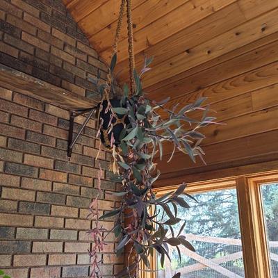 Hanging Indoor Plant with Macrame Hanger