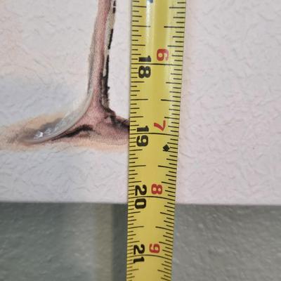 Flamingo Canvas Art