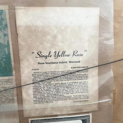 MARYROSE WAMPLER ~ “Single Yellow Rose” ~ Original Signed Framed Print ~ *Read Details