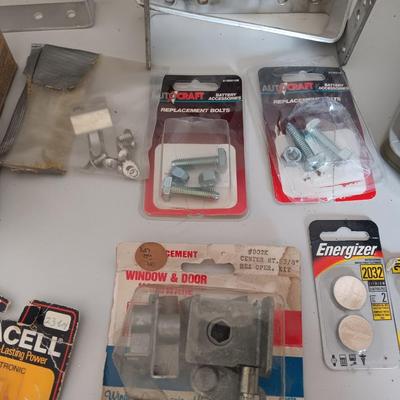 Variety of household hardware in divided organizing case