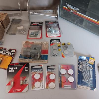 Variety of household hardware in divided organizing case