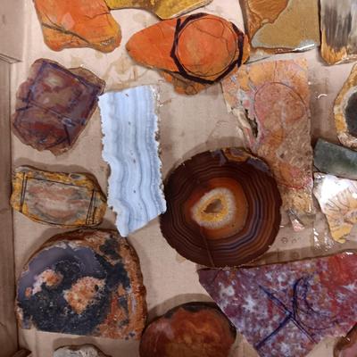 LAPIDARY SLABS (8)