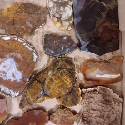 LAPIDARY SLABS (8)