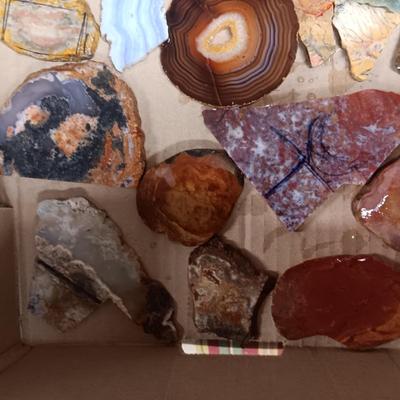 LAPIDARY SLABS (8)