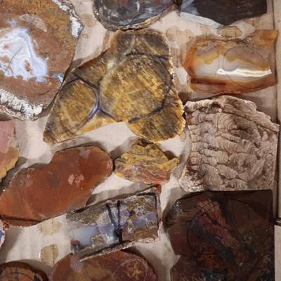 LAPIDARY SLABS (8)