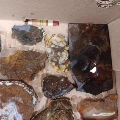 LAPIDARY SLABS (8)