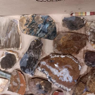 LAPIDARY SLABS (8)